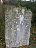 image of grave number 254404